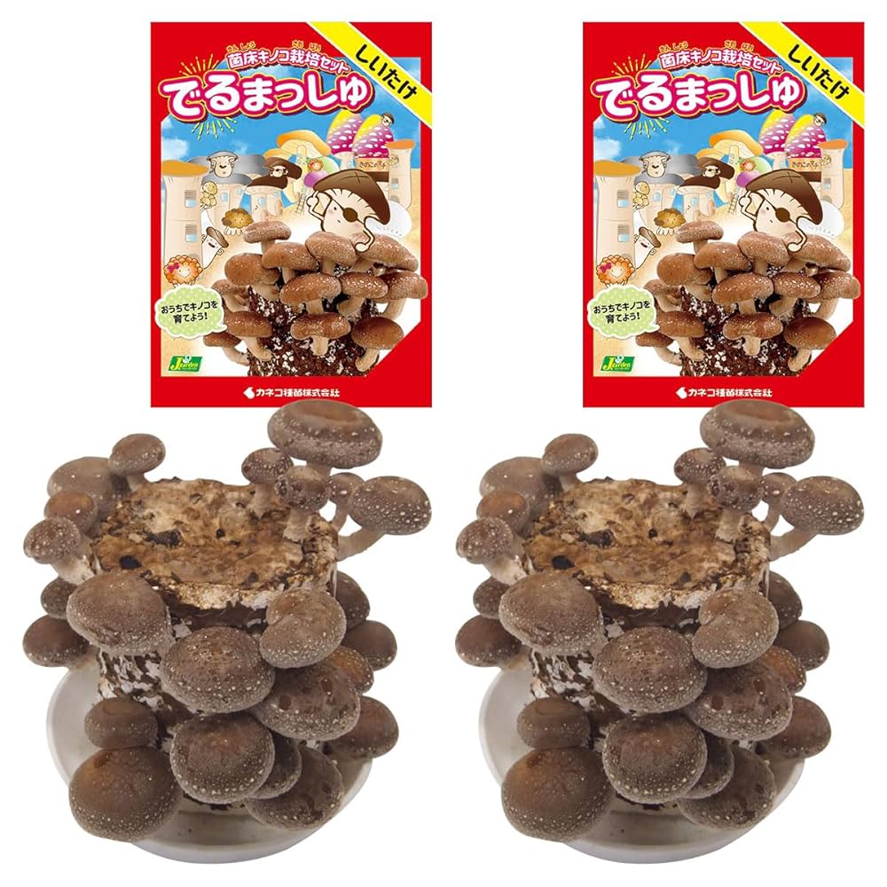 Amazon | カネコ種苗 菌床キノコ栽培セット でるまっしゅ
